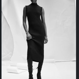 Zara Knit Midi Bodycon Dress